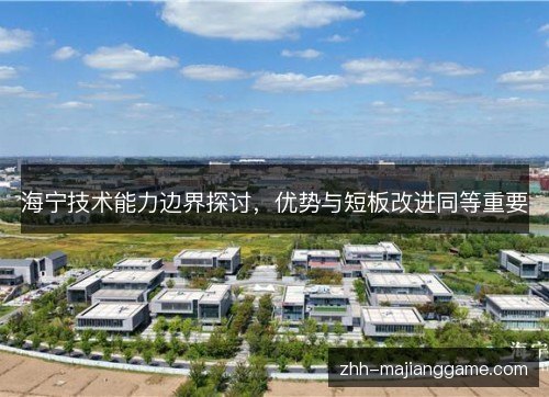 海宁技术能力边界探讨，优势与短板改进同等重要